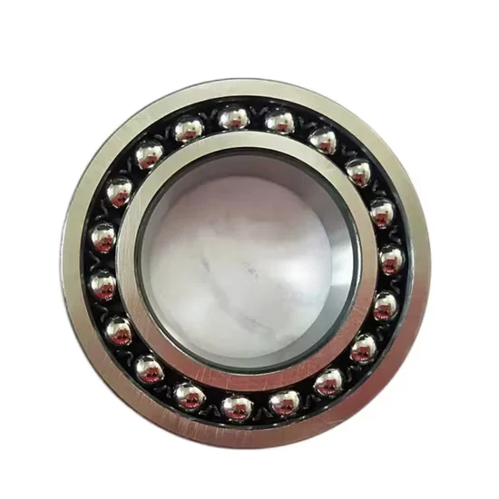 2205 E 2RS1tn9 Self Aligning Double Row Ball Bearings Chrome Steel [WARN] draft identifier mismatch