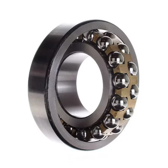 2205 E 2RS1tn9 Self Aligning Double Row Ball Bearings Chrome Steel [WARN] draft identifier mismatch