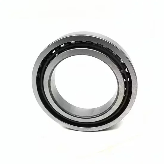 71813c/P5 Angular Contact Ball Bearing for Pumps and Motors