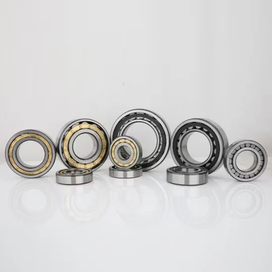 Cylindrical Roller Bearing for Reducer Gearbox and Transmission Assembly