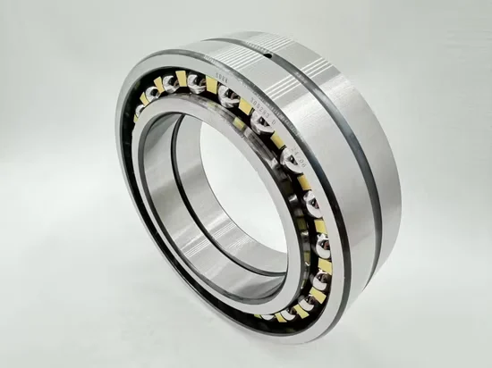 FAG Hcb7005-E-P4s Angular Contact Ball Bearing for CNC Spindle Motor
