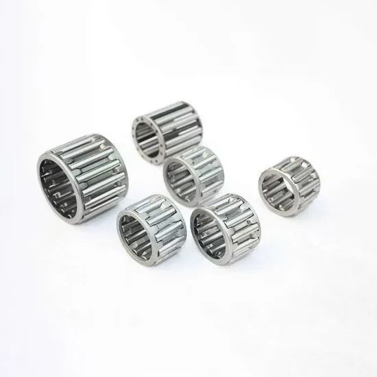 Nki25/20 Radial Needle Roller Bearing with Inner Ring