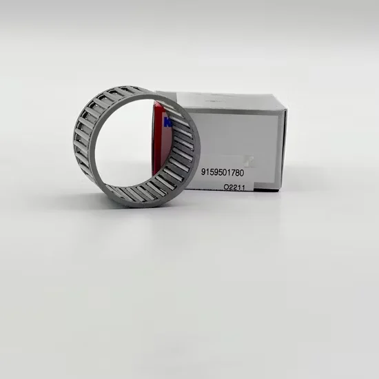 Nki25/20 Radial Needle Roller Bearing with Inner Ring