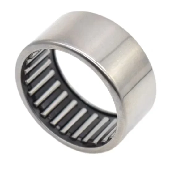 Nki25/20 Radial Needle Roller Bearing with Inner Ring