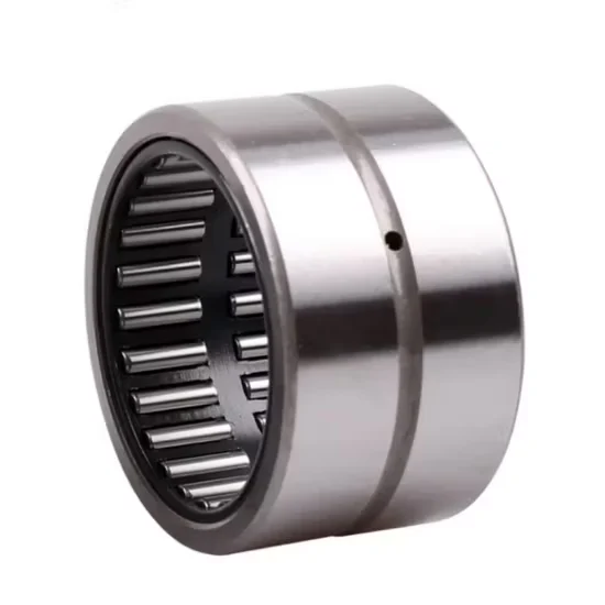 Nki25/20 Radial Needle Roller Bearing with Inner Ring