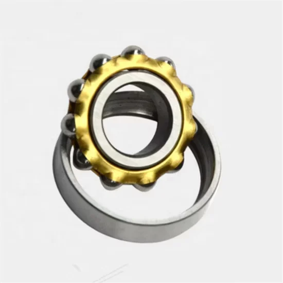 NSK 7007 P4 Angular Contact Ball Bearing High Accuracy [WARN] draft identifier mismatch