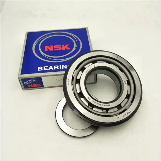 Nu2205em Cylindrical Roller Bearing for Screw Support