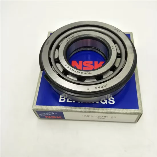 Nu2205em Cylindrical Roller Bearing for Screw Support