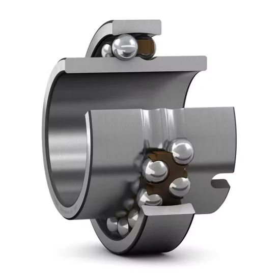 Self-Aligning Double Row Ball Bearing for Electric Motors and Pumps