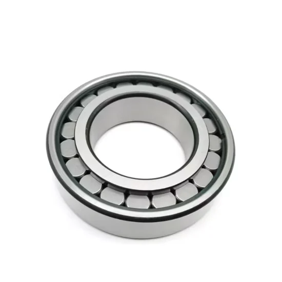 SL18 Series Full Complement Cylindrical Roller Bearings Heavy Duty [WARN] draft identifier mismatch