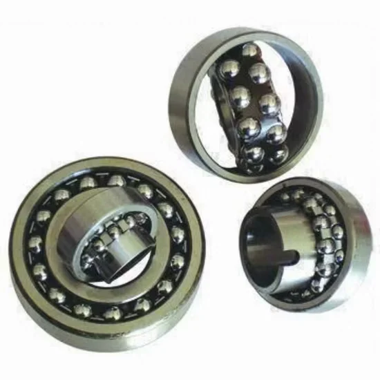 2200 Series Self-Aligning Ball Bearing for Heavy Duty Applications