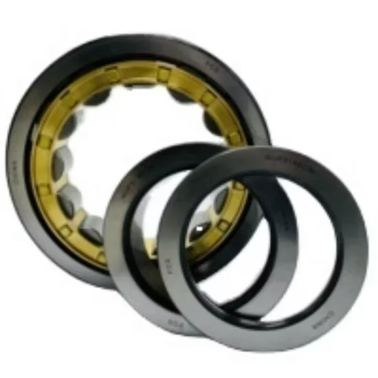 42205 Nj205 Cylindrical Roller Bearing Wholesale Supplier