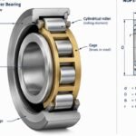 Nup311tud cylindrical roller bearing cross-section showing roller and cage assembly
